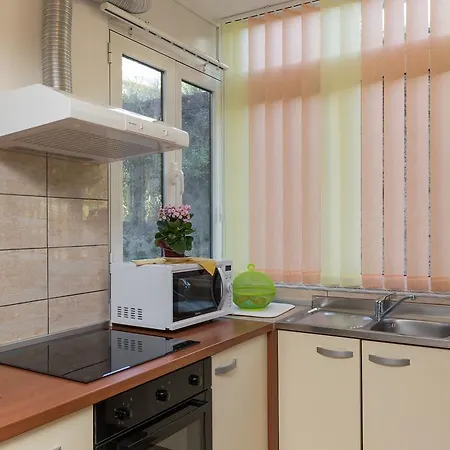 Apartament Skoljarev *